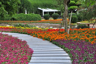 5月28日相约紫色浪漫花海 稻草奇缘文化节 漳州东南花都1日游,150元 人