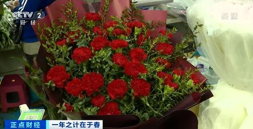 鲜花价格大涨 直接翻四倍 花 生了啥