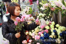 芜湖鲜花零售价格三个月均居高不下 玫瑰卖5元一朵